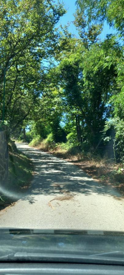 Appartamento Vacanze Malu Moneglia Εξωτερικό φωτογραφία